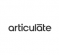 articulate-360-personal-plan
