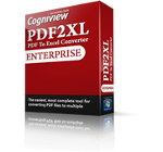 Cogniview PDF2XL Enterprise- 1 year subscription